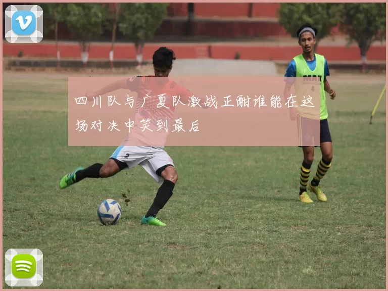 四川队与广夏队激战正酣谁能在这场对决中笑到最后