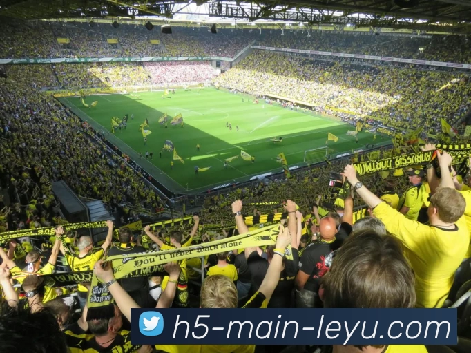 leyu.com发展历程